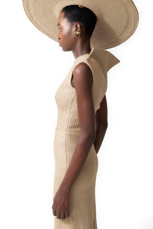 THE RAFFIA DRESS